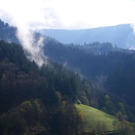 Вілла Buehlbauernhof Бад-Петерсталь-Ґрісбах Екстер'єр фото